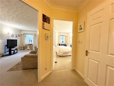 Picture 7